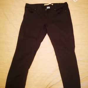 Blue Brody Jeans Pants
